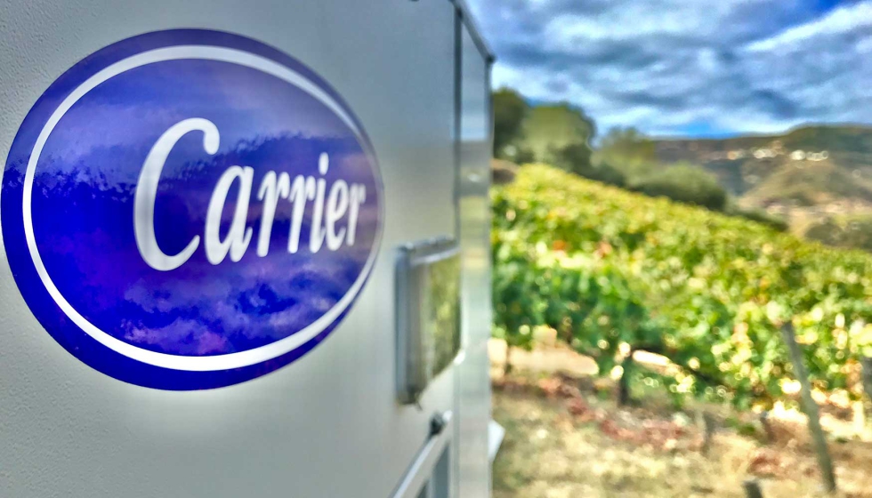 Pago de Carrovejas dispone de 160 hectreas en produccin con tres variedades de uva: Tempranillo, Cabernet sauvignon y Merlot...