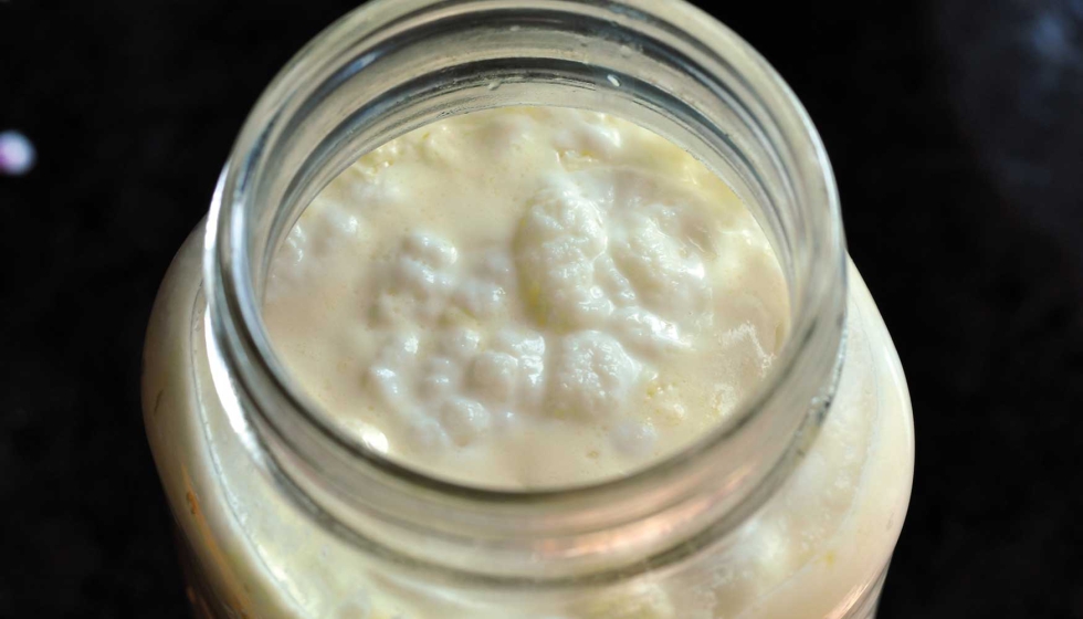 El kfir consiste en leche fermentada rica en levaduras y bacterias