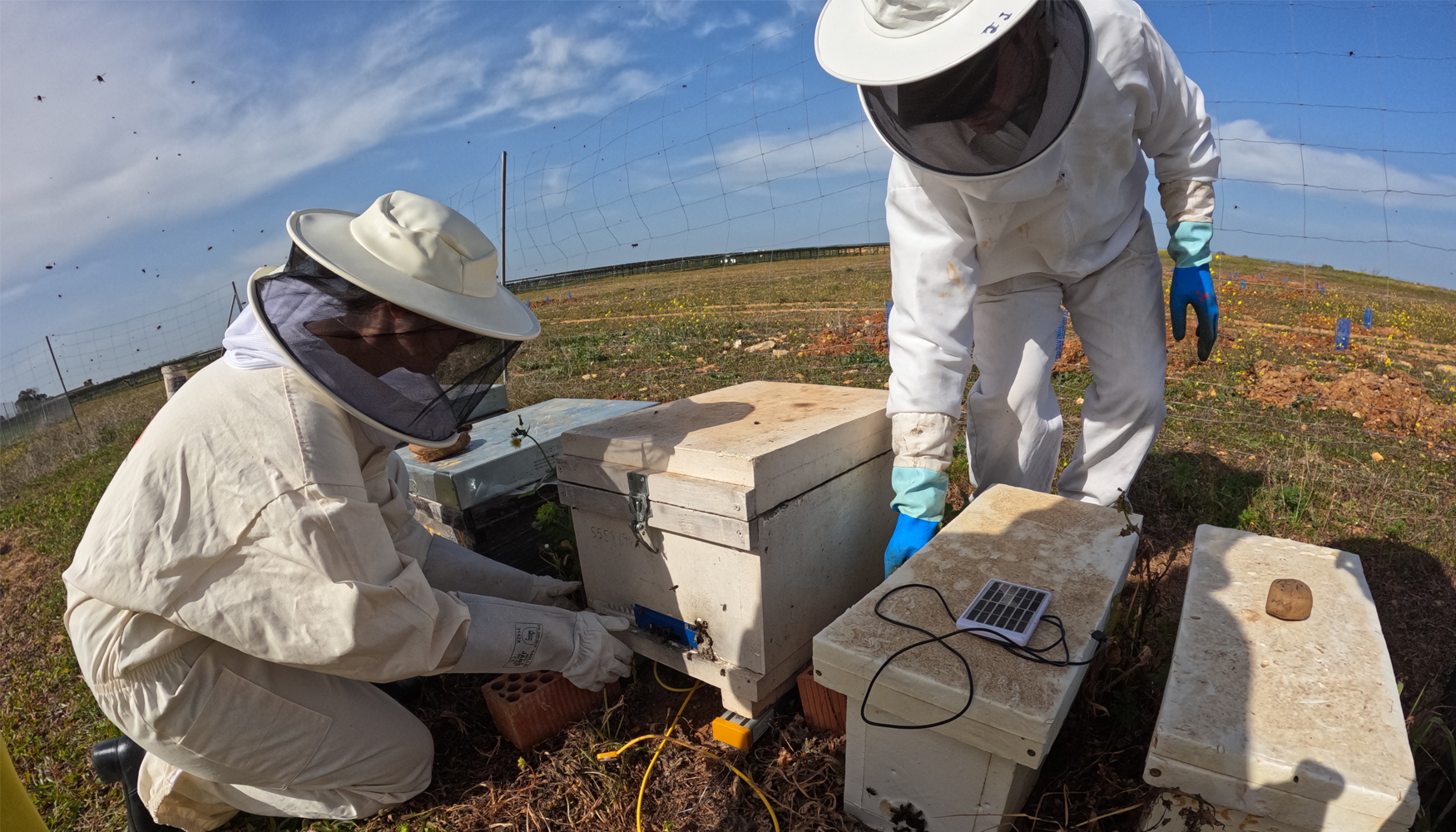 La planta de Carmona cuenta con un apiario solar que est� participando en un estudio medioambiental sobre la poblaci�n de las abejas...