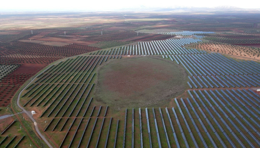 Las plantas solares se han convertido en un entorno seguro en el que anidar o encontrar alimento, libres de pesticidas y de presi�n agroindustrial...