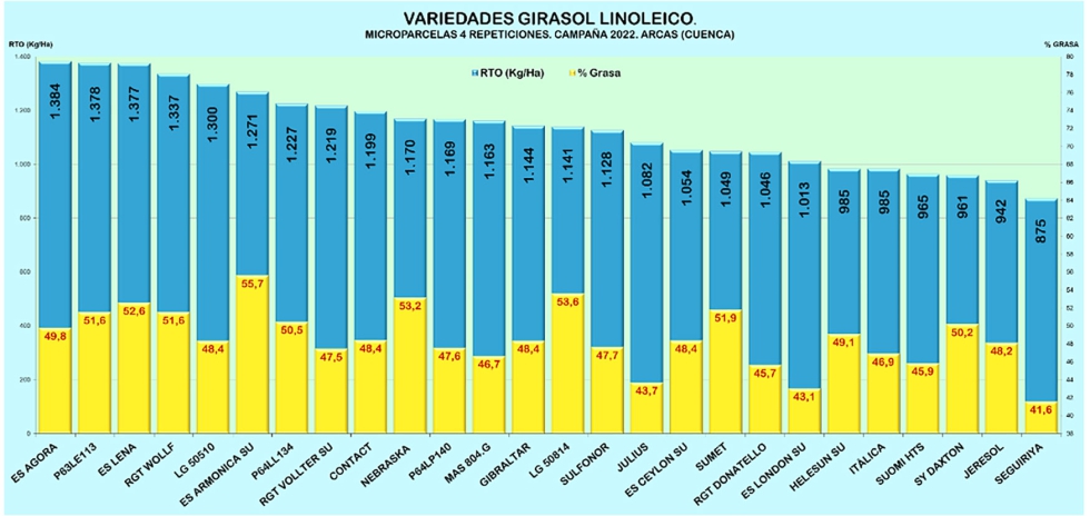 Grfica 1. Resultados Girasol Linoleico. Campaa 2022 en Arcas (Cuenca)