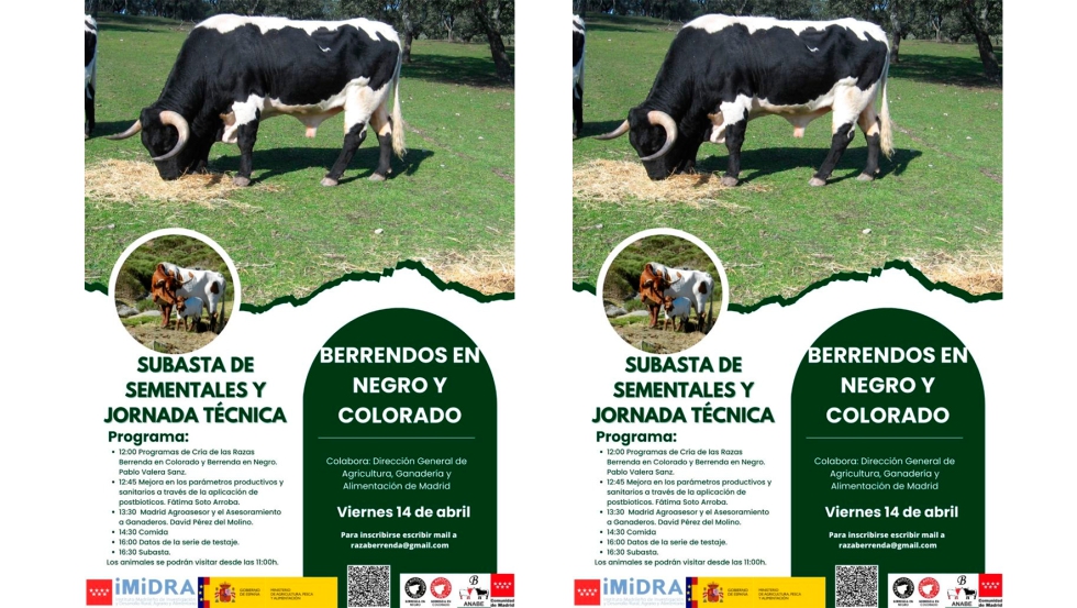 Cartel de la subasta de sementales y jornada tcnica