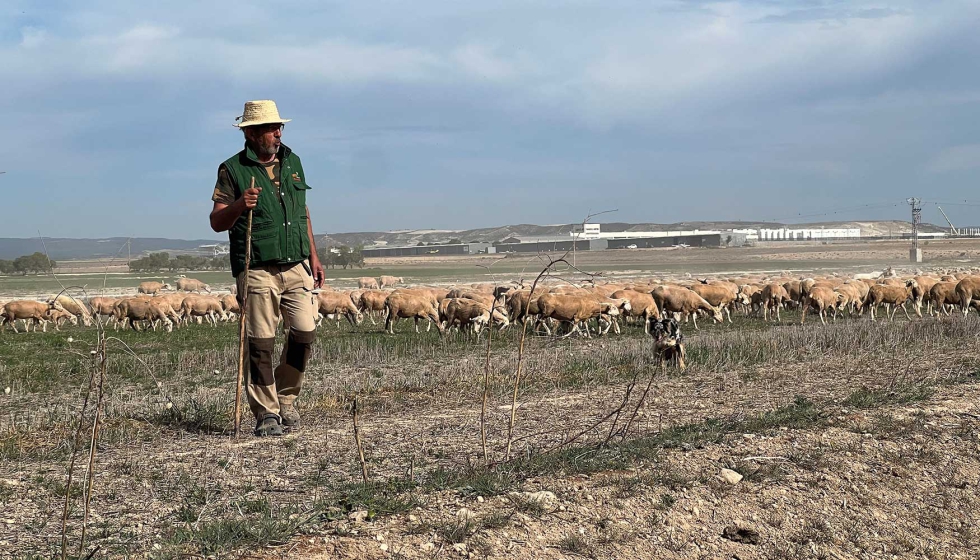El hecho de que las ovejas pasten en rgimen extensivo favorece el bienestar animal...