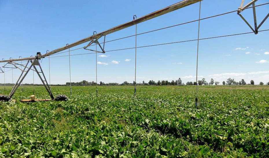 Instalacin de pvot para el riego en una finca agrcola