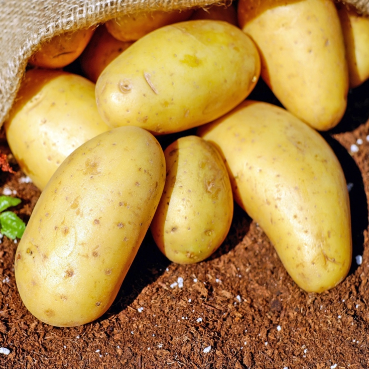 El precio medio de la patata en origen en Espaa se sita actualmente en los 0,65 euros/kg