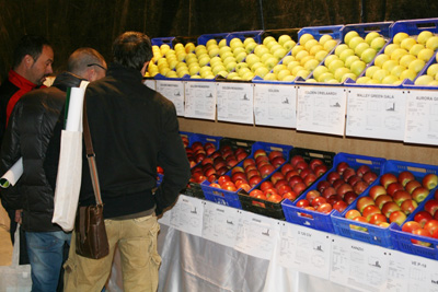 Ms de 100 variedades de manzana, pera y melocotn se exponan en el interior