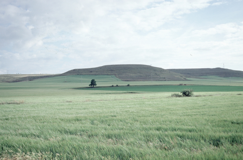 Campo de cereal