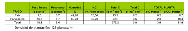 Tabla 11: Valores anuales de absorcin de CO2 y carbono asimilado en plantas de trigo