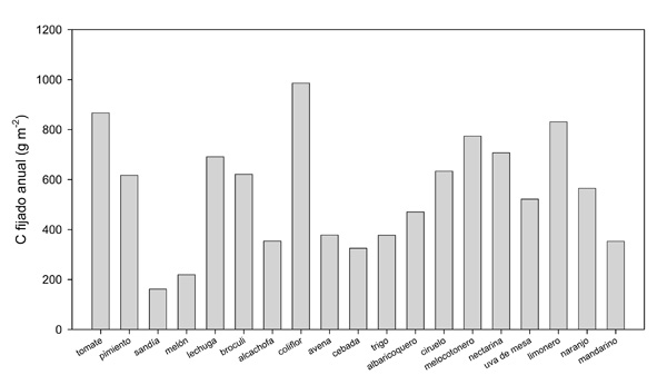 Figura 3: Carbono total anual fijado por cada uno de los cultivos estudiados expresado por unidad de superficie (m2)