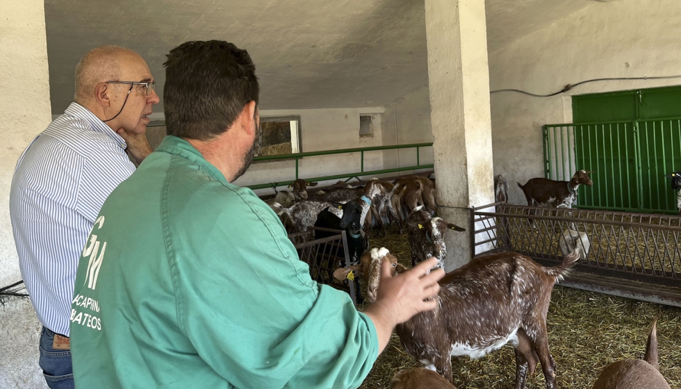 Visita de Manuel S�nchez, director t�cnico de Acriflor, a la nueva explotaci�n con siglas OC de la raza Florida