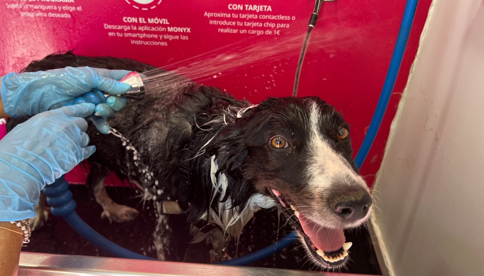 Todas las cabinas de lavado de mascotas Wasky incorporan un sistema automtico de limpieza...