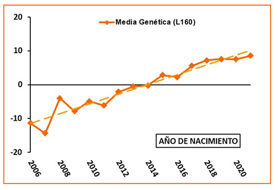 Figura 2. Evoluci�n de las medias gen�ticas (G) anuales de las ovejas productoras para el car�cter producci�n de leche (L160)...
