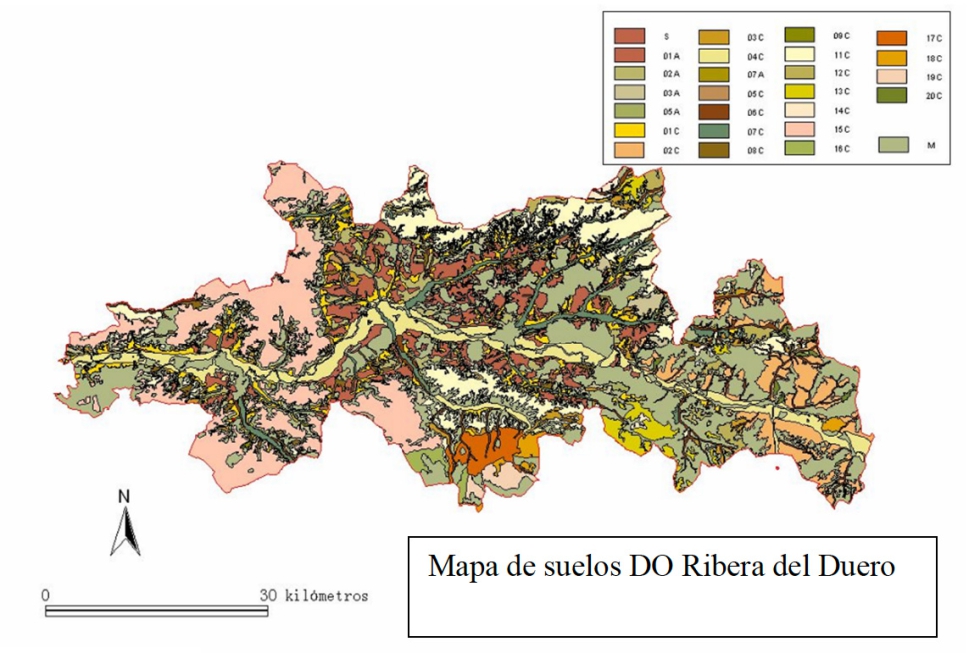 Grfico 4. Mapa de suelos de la DO Ribera del Duero
