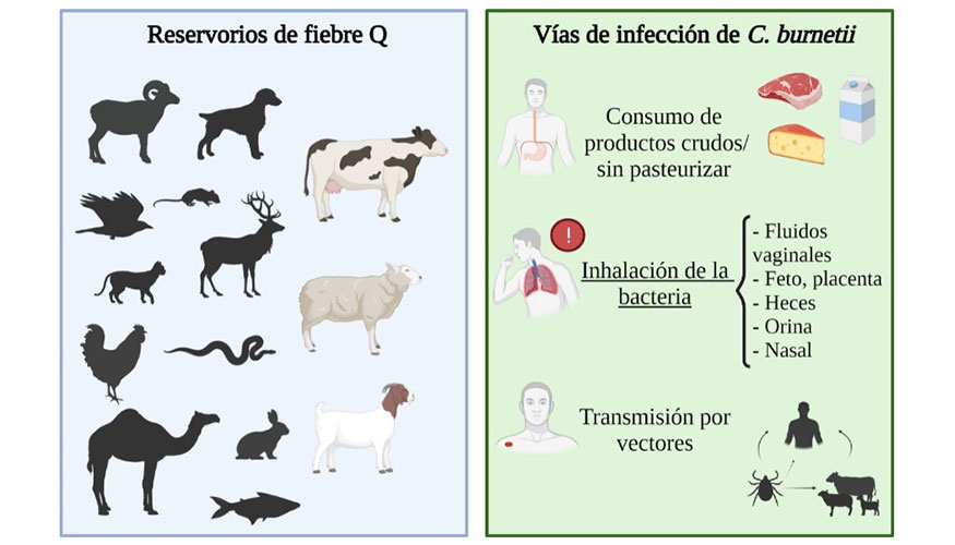 Figura 1. Reservorios y v�as de infecci�n para la especie humana (Toledo et al., 2022a.)