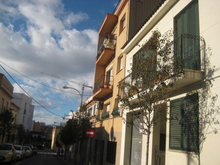 Lamas cerradas contra la luz del sol en Santa Coloma de Gramenet, Barcelona