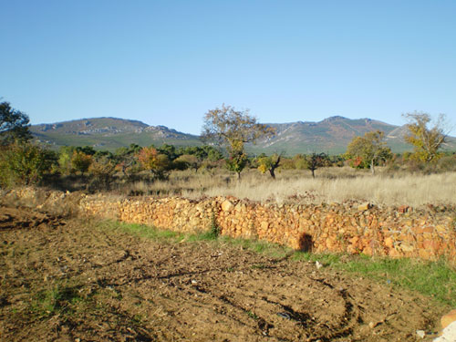 El monte de Tabuyo es rico en recursos naturales para la fabricacin de pelets de biomasa