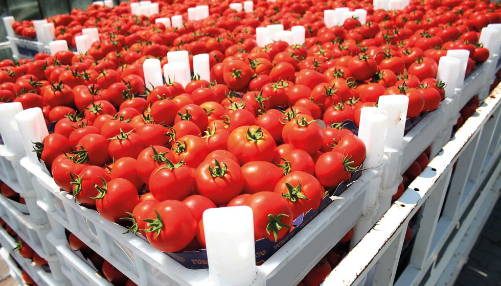 La mayor venta de frutas, hortalizas y legumbres hace crecer las exportaciones