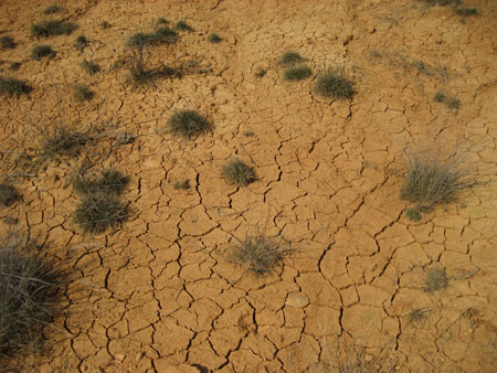 Se producir un agravamiento de los problemas de desertificacin: erosin y salinizacin, principalmente, en las regiones espaolas de clima ms seco...