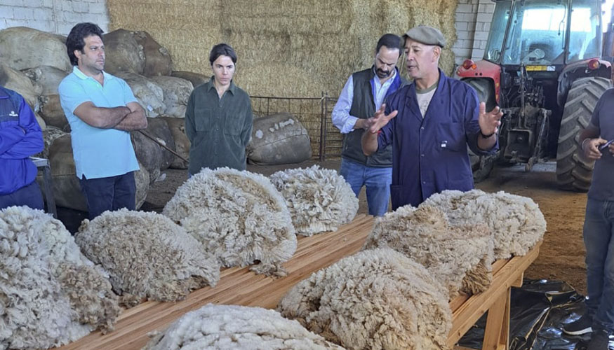Curso de clasificacin de lana a cargo de Pablo Antonio Barrena