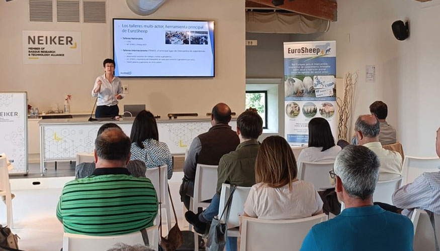 Ina Beltrn de Heredia, coordinadora de Eurosheep a nivel nacional e investigadora de Neiker, interviene durante la reunin final del proyecto...