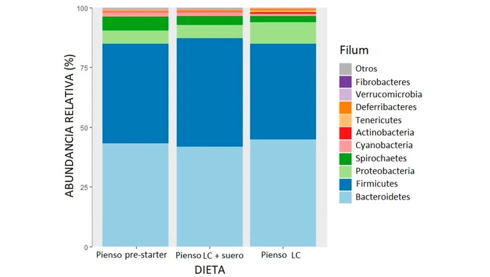 Figura 6. Abundancia relativa de las diferentes bacterias a nivel de filum en las tres dietas