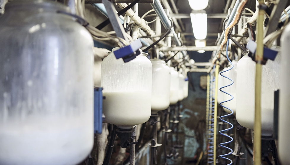 Sistema de recogida de leche en una explotacin ganadera