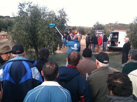 Gran expectacin ante las demostraciones realizadas con los cosechadores de olivo de Campagnola