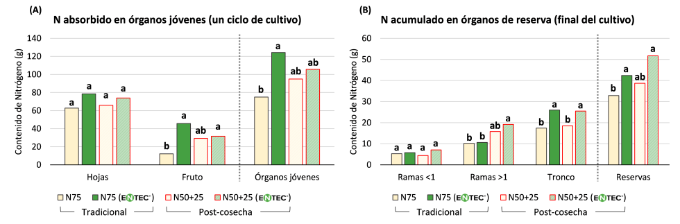 Figura 2. Nitrgeno absorbido en rganos jvenes (A) y nitrgeno acumulado en rganos de reserva a final del cultivo (B)...