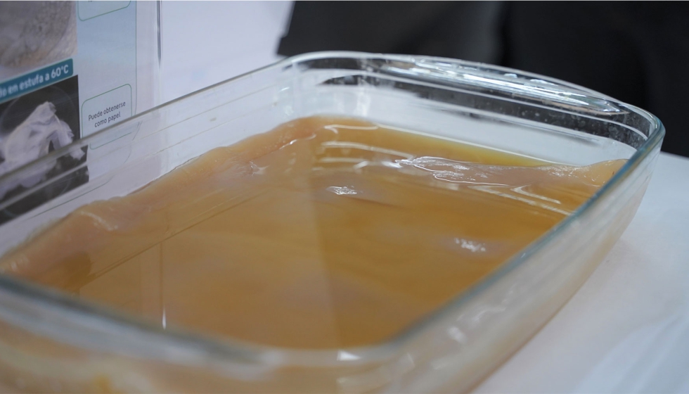 Celulosa bacteriana obtenida mediante el proceso de valorizacin de residuos de naranja desarrollado por Itene en el proyecto Valocel. Foto: Itene...