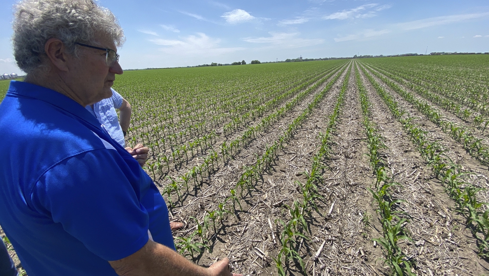 Norm Krug, en una de las parcelas prximas a la fbrica donde se produce el maz especial para palomitas