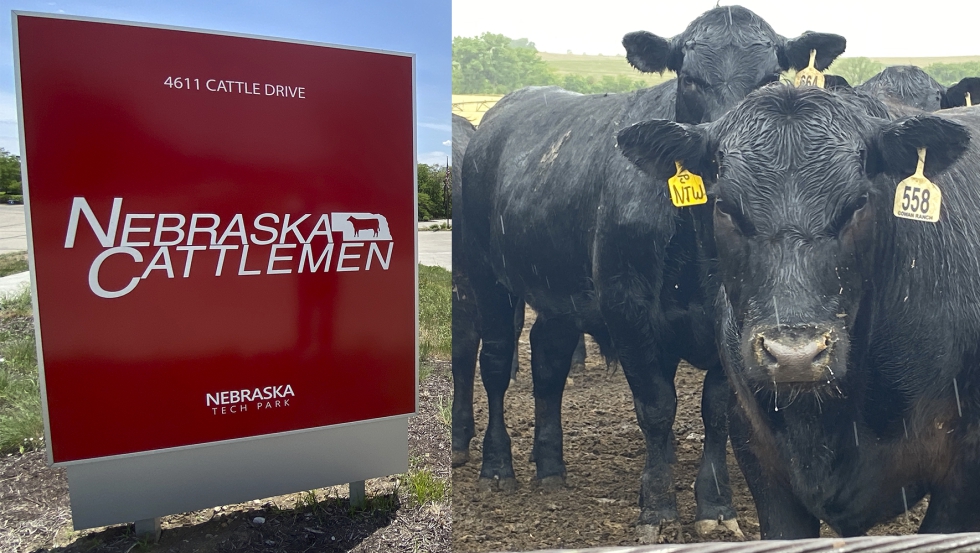 Los productores de ganado del estado se asocian en la Nebraska Cattlemen