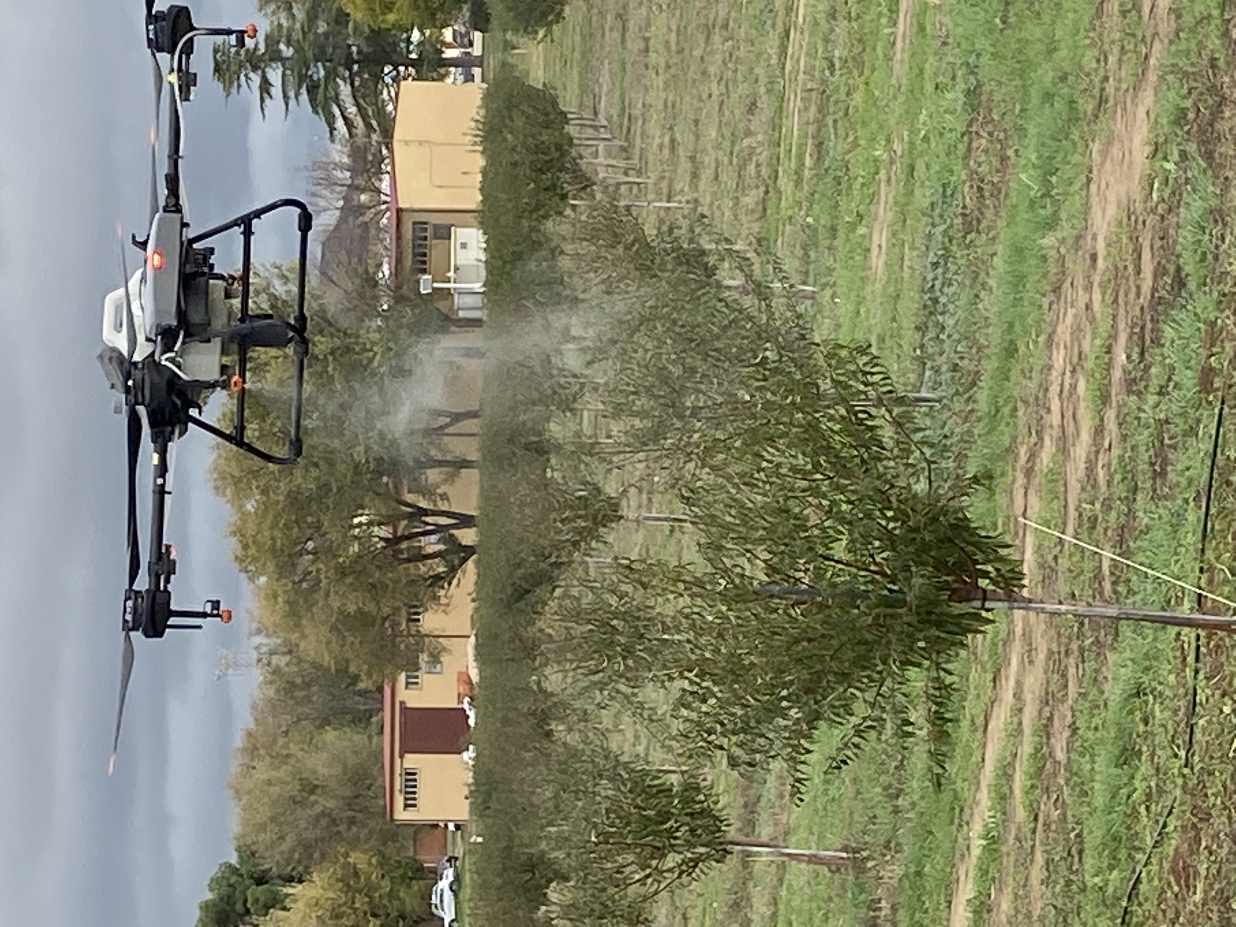 Los drones aplicadores de fitosanitarios son una herramienta clave para prcticar sanidad vegetal de precisin...