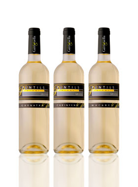 Una imagen de los vinos monovarietales Puntils Blancs de la cooperativa Agrcola de Garriguella