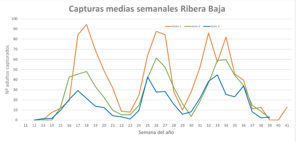 Grfico 2. Ribera Baja. Capturas medias por serie