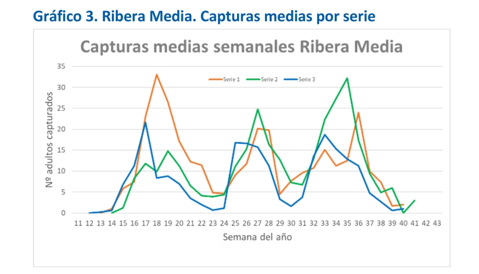 Grfico 3. Ribera Media. Capturas medias por serie