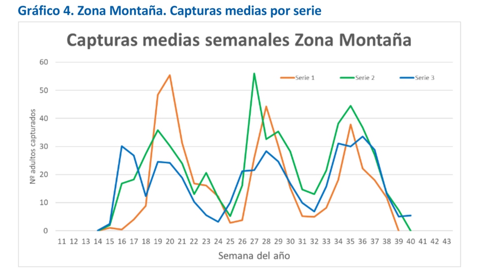 Grfico 4. Zona Montaa. Capturas medias por serie