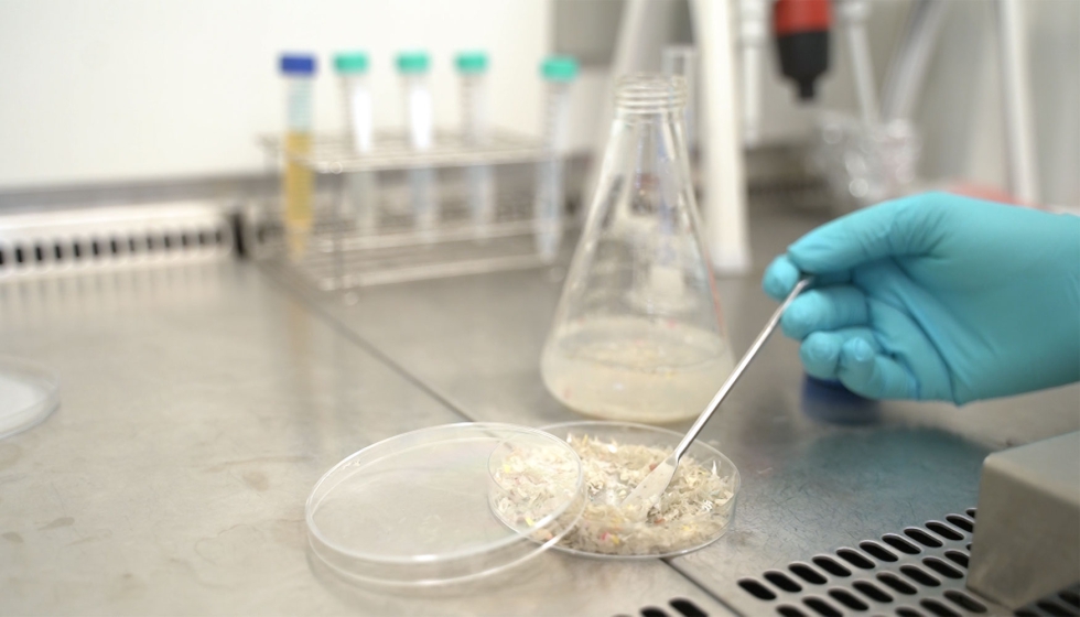 Proceso de despolimerizacin enzimtica llevado a cabo en las instalaciones de Itene en el marco del proyecto. Foto: Itene...
