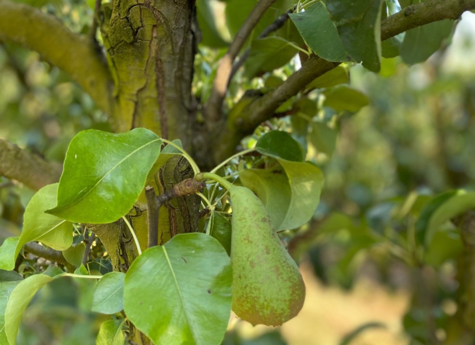 El proyecto est� financiado por el Gobierno de La Rioja y ha recibido una subvenci�n de 191.688 euros