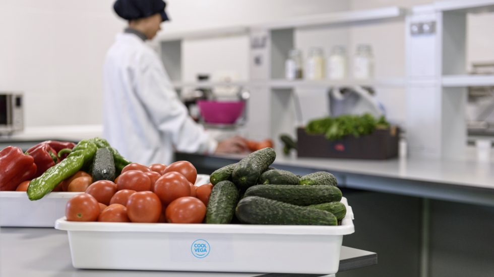 Cool Vega se ha convertido en uno de los referentes del mercado del tomate