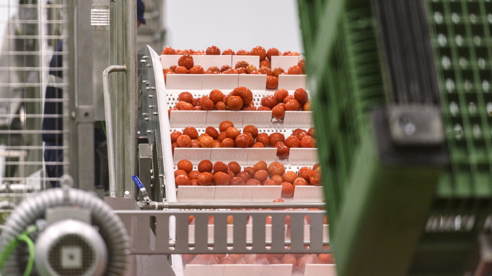 La empresa factur� casi 10 M� en 2022 sin haber llevado a cabo ni una sola inversi�n