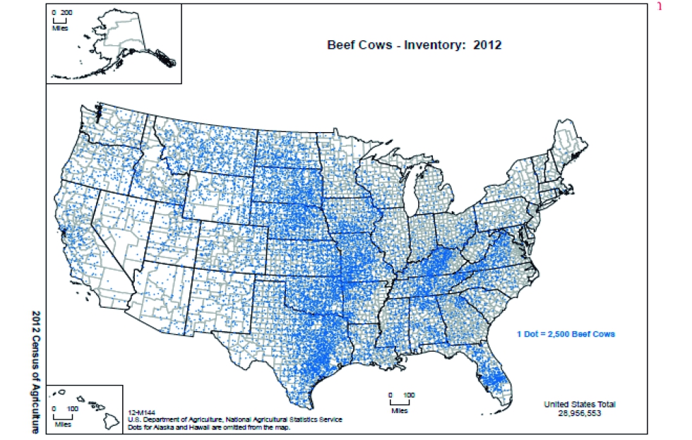 A zona central dos Estados Unidos da Amrica, e o Nebraska em particular, apresenta um vasto nmero de cabeas de gado bovino...