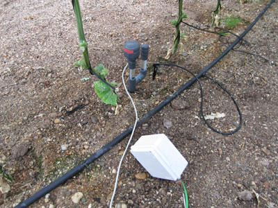 Los sensores miden cada 5 minutos las variables tradicionales de la agricultura: pH, conductividad, nitratos, temperatura, etc...