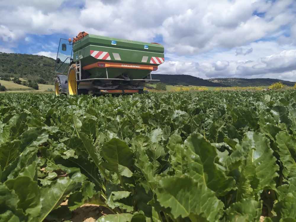 Ayudas de Estado a los agricultores, en compensacin por el incremento de costes provocados por el aumento del precio de los fertilizantes...