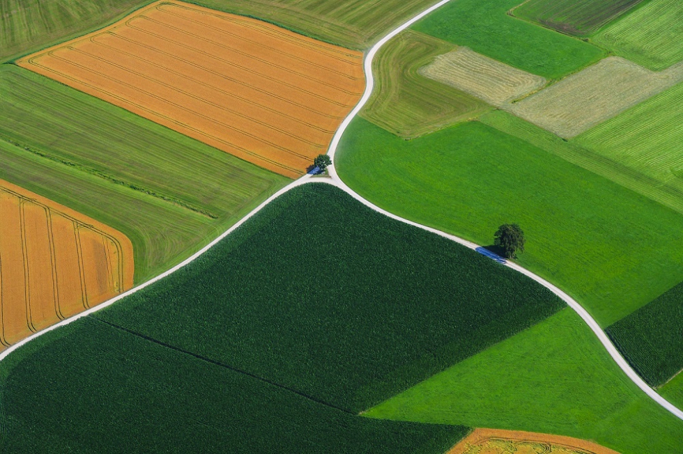 En el primer trimestre de 2023, el crdito total del sector agrario descendi un 2,1% con respecto al trimestre anterior y un 4...