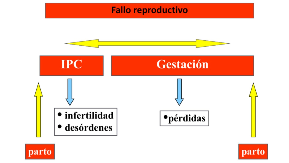 Figura 1...