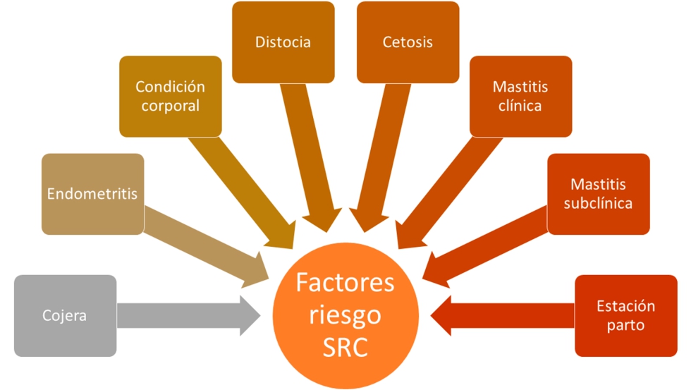 Figura 1. Factores de riesgo considerados en el estudio realizado sobre de Sndrome de Repeticin de Celos en vacuno de leche en el norte de Espaa...