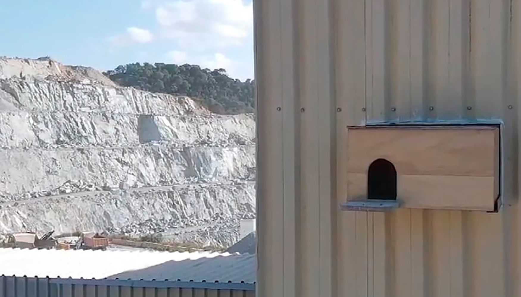 Con el proyecto Si hay cantera, hay vida, se ha fomentado la nidificacin de aves de la zona