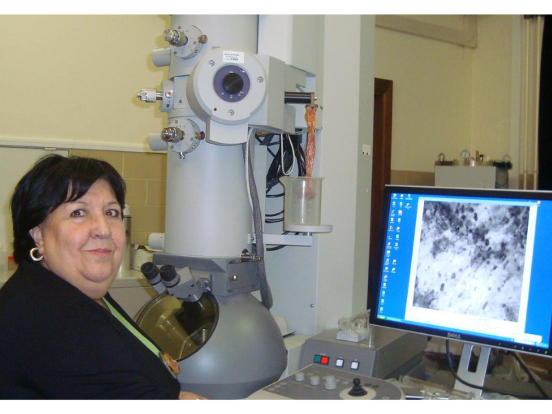 Professora Teresa Vieira