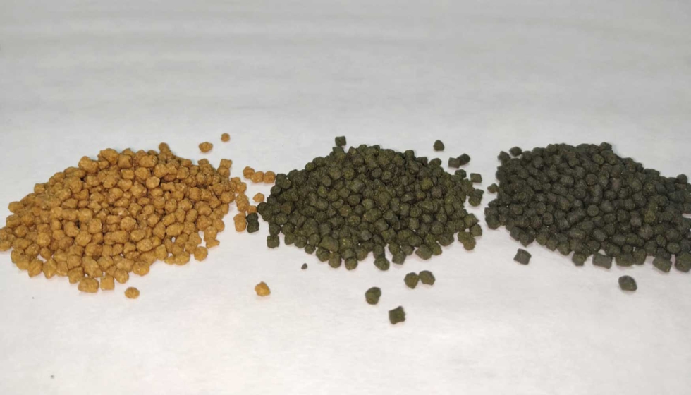 Esta biomasa ha permitido formular piensos nicos de engorde con una composicin similar a la de un pienso comercial