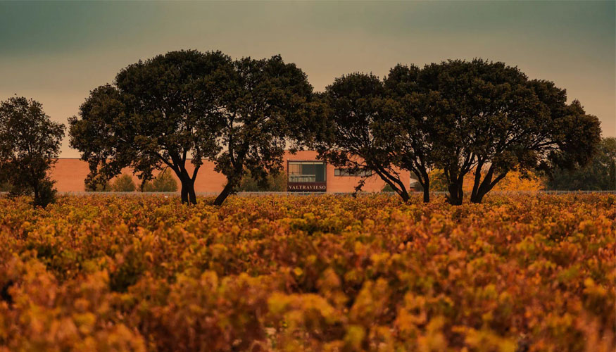 La bodega busca vinos con identidad propia, elegantes, verticales y profundos, donde la madera acompae pero no enmascare la personalidad de la uva...